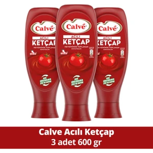 Acılı Ketçap 600 gr