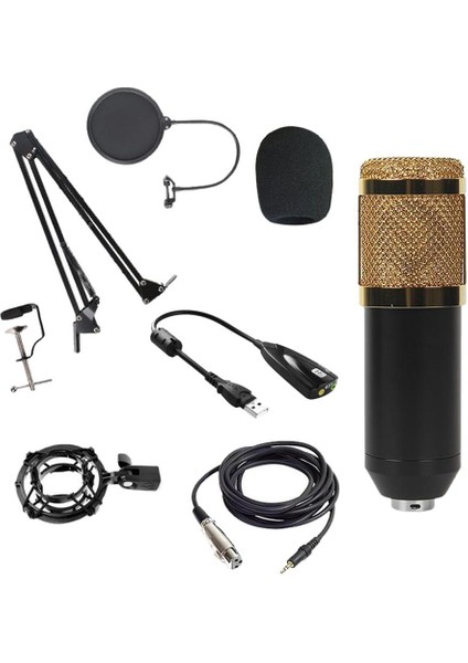 Kondenser Mikrofon Seti Cardioid Mic Streaming Studio Studio Kayıt Için Set Ses Ses Kartlı (Yurt Dışından)