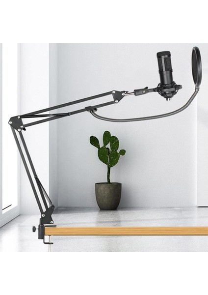 Kondenser Mikrofon Seti Cardioid Mic Streaming Studio Studio Kayıt Için Set Ses Ses Kartlı (Yurt Dışından) fiyatları