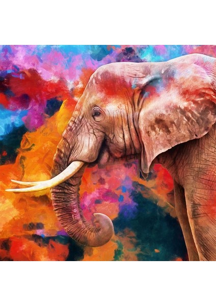 Canvas Güzel Fil Sayılarla Boyama Seti Kasnaklı 90 x 110 cm
