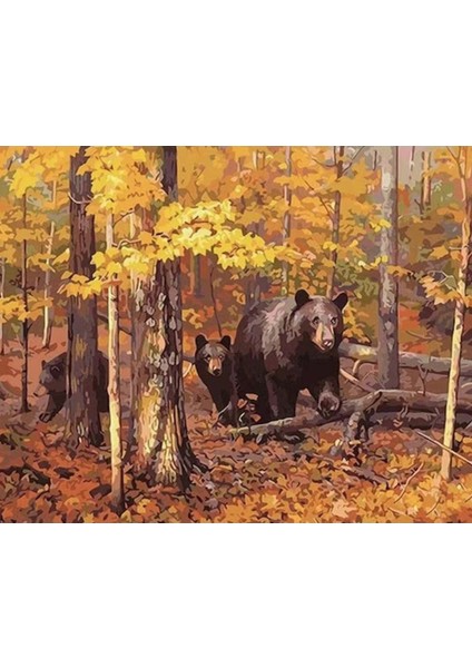 Canvas Ayı Ailesi Sayılarla Boyama Seti Kasnaklı 50 x 65 cm