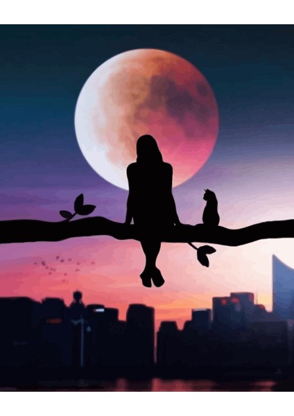 Canvas Dolunayda Manzara Keyfi Sayılarla Boyama Seti Kasnaklı 40 x 50 cm