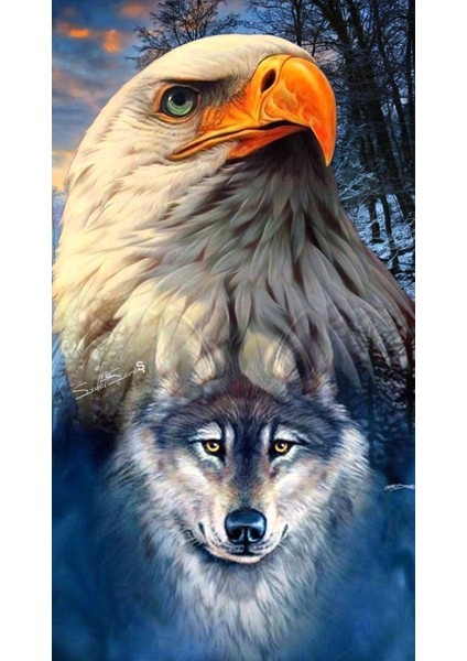 Canvas Kartal ve Kurt Sayılarla Boyama Seti Kasnaklı 70 x 90 cm