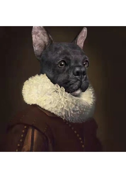 Canvas Asil Köpek Sayılarla Boyama Seti Kasnaklı 90 x 110 cm