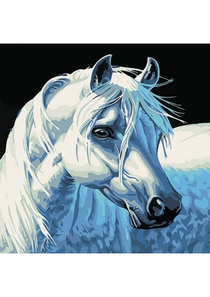Canvas Yıldız At Sayılarla Boyama Seti Rulo 90 x 110 cm