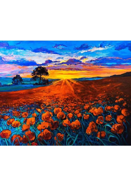Canvas Turuncu Çiçek Tarlası Sayılarla Boyama Seti Rulo 90 x 110 cm