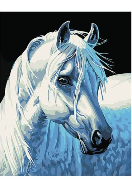 Canvas Yıldız At Sayılarla Boyama Seti Rulo 100 x 140 cm
