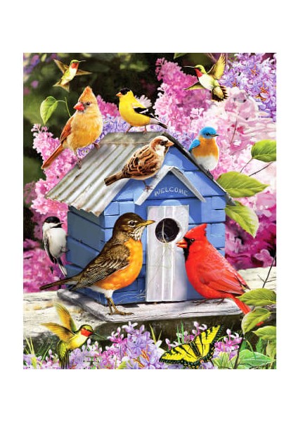 Canvas Kuşların Evi Sayılarla Boyama Seti Rulo 50 x 65 cm