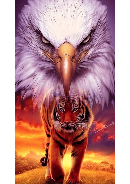 Canvas Kaplan ve Kartal Sayılarla Boyama Seti Rulo 70 x 90 cm