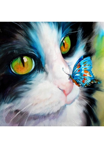Canvas Kedinin Burnundaki Kelebek Sayılarla Boyama Seti Rulo 40 x 50 cm