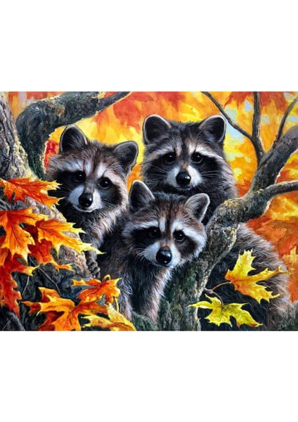 Canvas Sevimli Üçlü Sayılarla Boyama Seti Rulo 100 x 140 cm