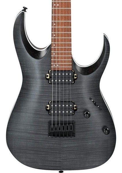 RGA42FM-TGF Rga Elektro Gitar
