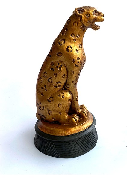 Kaideli Puma Biblo