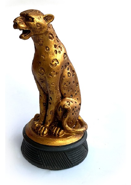 Kaideli Puma Biblo