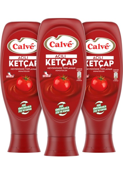 Acılı Ketçap 600 gr fiyatları