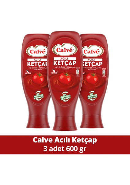 Acılı Ketçap 600 gr