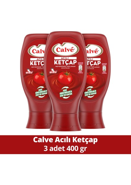 Acılı Ketçap 400 gr