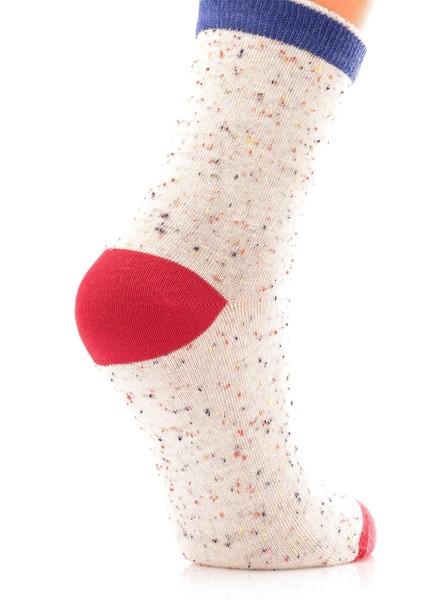 3lü Bayan Soket Çorabı fiyatları