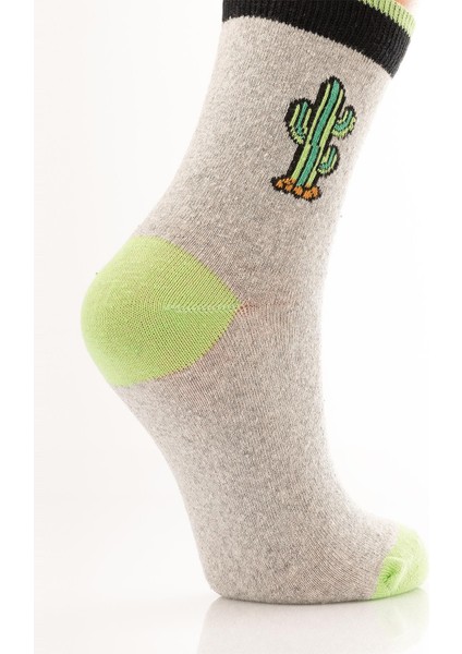 3lü Bayan Soket Çorabı fiyatları