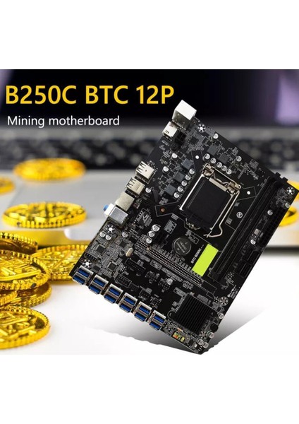 Atlon B250C Btc V21 12 Gpu Anakart G Serisi Işmeci 8gb Ram Set