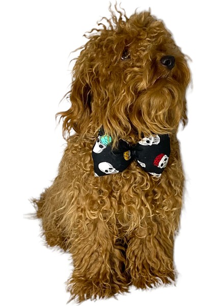 Ayarlanabilir Kedi Köpek Papyonu Skull