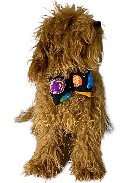 Ayarlanabilir Kedi Köpek Papyonu Black Space