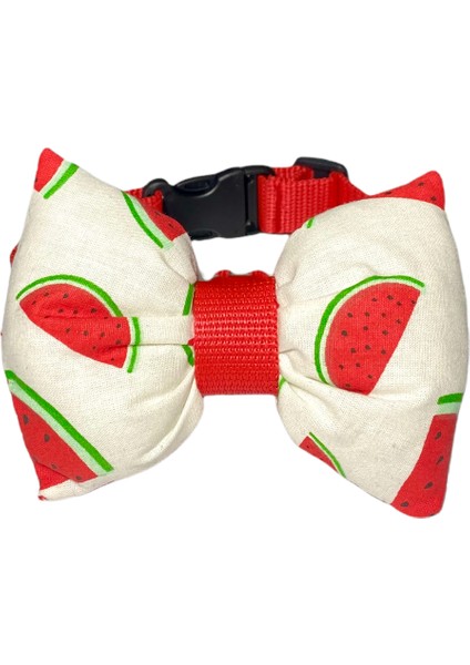 Ayarlanabilir Kedi Köpek Papyonu Watermelon