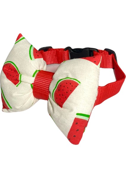 Ayarlanabilir Kedi Köpek Papyonu Watermelon