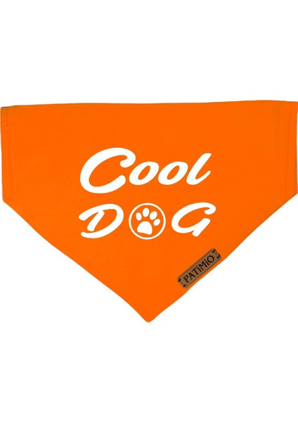 Cool Dog Tasma Fular Bandana fiyatları