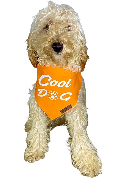 Cool Dog Tasma Fular Bandana modelleri