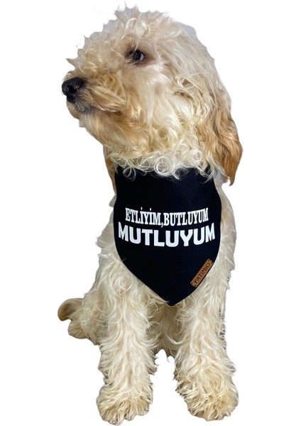 Pug Tasma Fular Bandana
