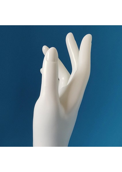 Takı Kutusu Standı (Yurt Dışından) indirimleri