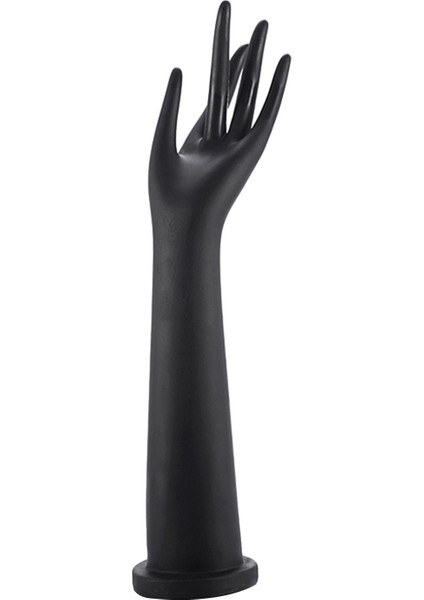 Takı Kutusu Standı (Yurt Dışından) fiyatları