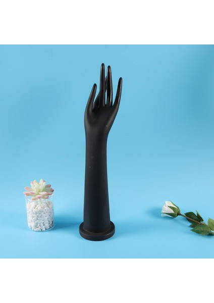 Takı Kutusu Standı (Yurt Dışından) indirimleri