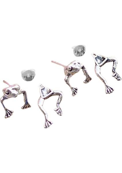 Küpe (Yurt Dışından) fiyatları