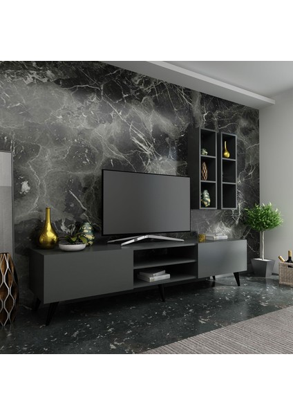 Tv Ünitesi Q3000-4 Antrasit fiyatları