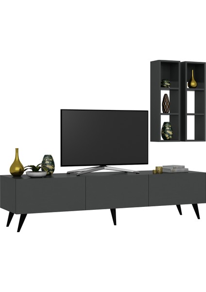 Tv Ünitesi Q3003-4 Antrasit modelleri