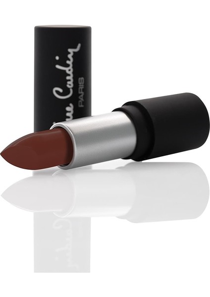 Matte Chiffon Touch Lipstick - Brown Red 193 11204