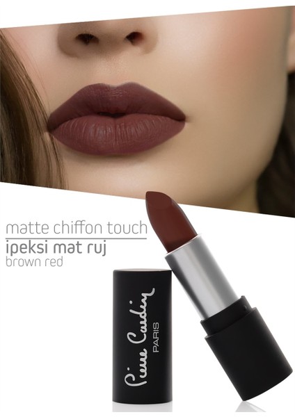 Matte Chiffon Touch Lipstick - Brown Red 193 11204