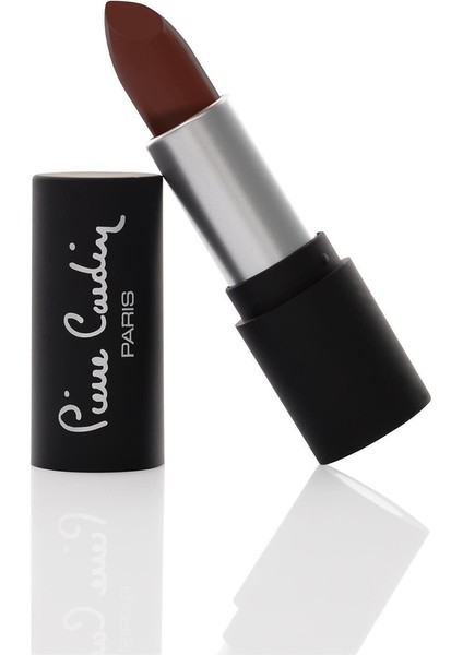 Matte Chiffon Touch Lipstick - Brown Red 193 11204