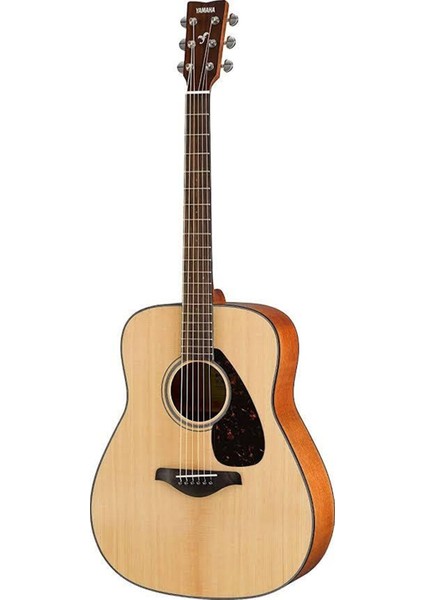 FG800 Akustik Gitar