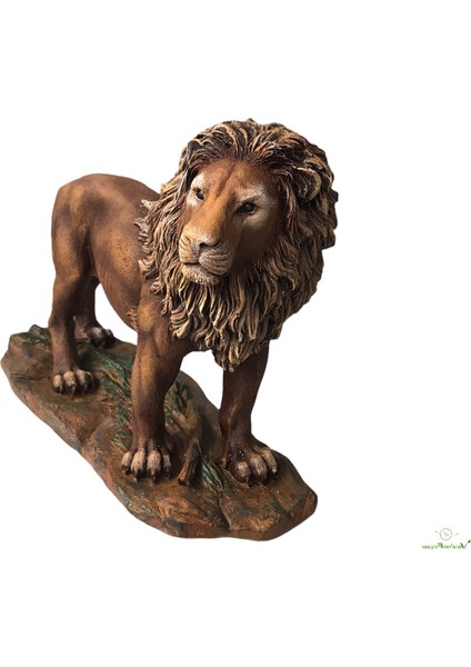 Aslan Obje fiyatları