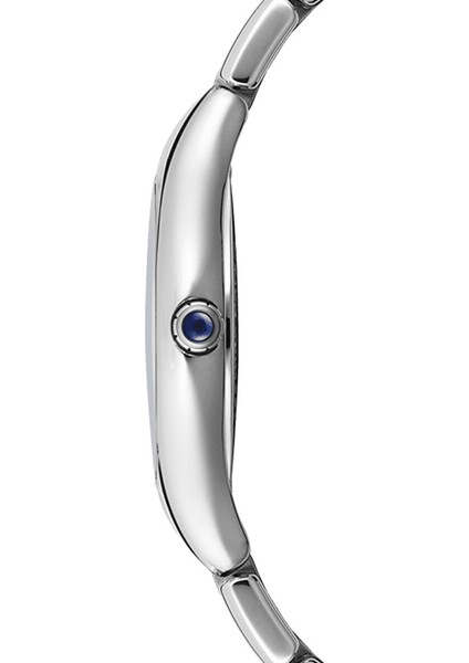 RW5132ST50181 Pırlantalı Kadın Kol Saati fiyatları