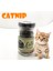 Catnip Doğal Kedi Otu - Kedi Nanesi- 3