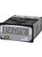 LE8N-BF 48X24 Sayma İNPUT/6-240VDC, 24-240VAC- 0-2.4VDC, 0-2VAC Besleme/dahili Pil (Üzeri 10 Yıl) Autonics | 1