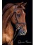 Canvas Derin Bakışlı At Sayılarla Boyama Seti Kasnaklı 50 x 65 cm 1