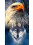 Canvas Kartal ve Kurt Sayılarla Boyama Seti Kasnaklı 70 x 90 cm 1