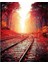 Canvas Tren Rayları Sayılarla Boyama Seti Rulo 50 x 65 cm 1