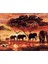 Canvas Savan Ağacı ve Filler Afrika Sayılarla Boyama Seti Rulo 40 x 50 cm 1