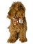 Ayarlanabilir Kedi Köpek Papyonu Happy Dogs 2